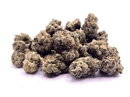 Hybrid Popcorn