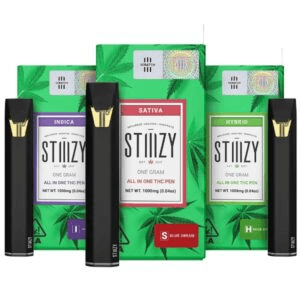STIIIZY AIO 1G Disposable Pens *3/$80*