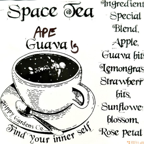 Space Tea 1g Mushroom Tea Bag