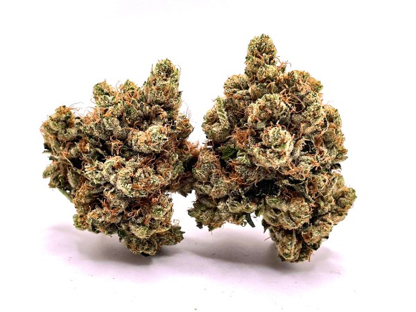 King Mamba OG – 4gs for $45 *Private Reserve $225 OZ Special*